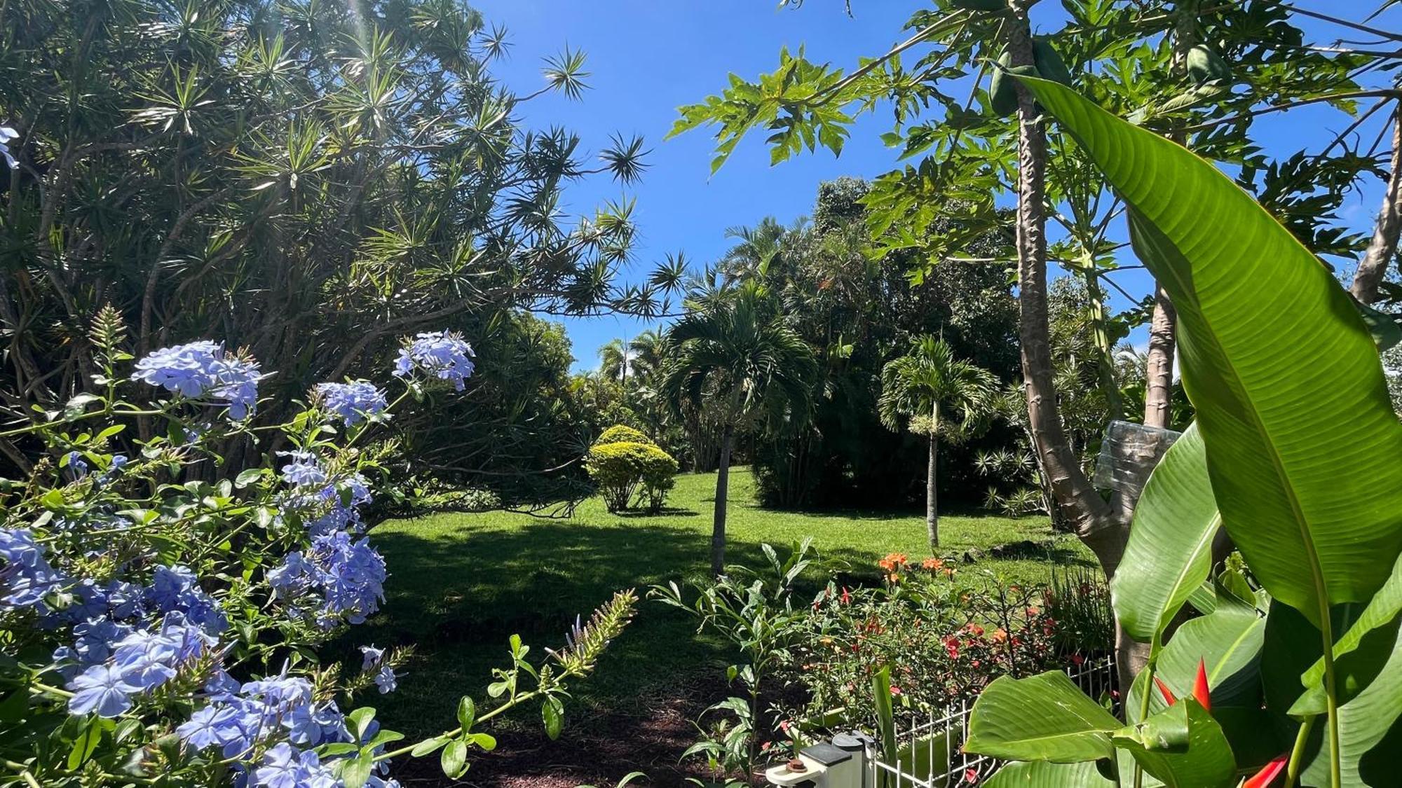 Le Jardin Kerveguen, magnifique appartement très bien situé Le Tampon Exterior foto